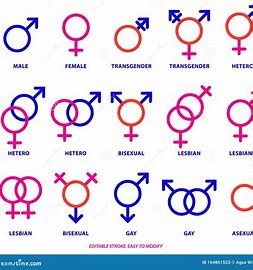 FIRE & Sexual Orientation